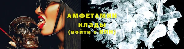 прущие грибы Армянск