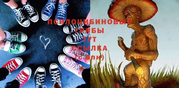 PSILOCYBIN Арсеньев