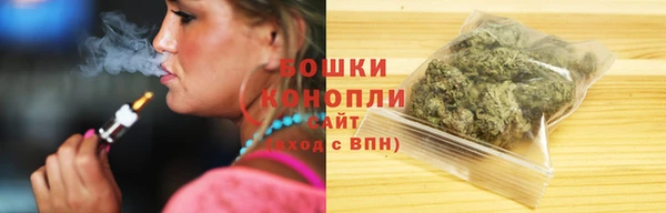 прущие грибы Армянск