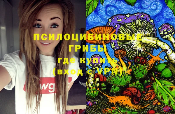 PSILOCYBIN Арсеньев